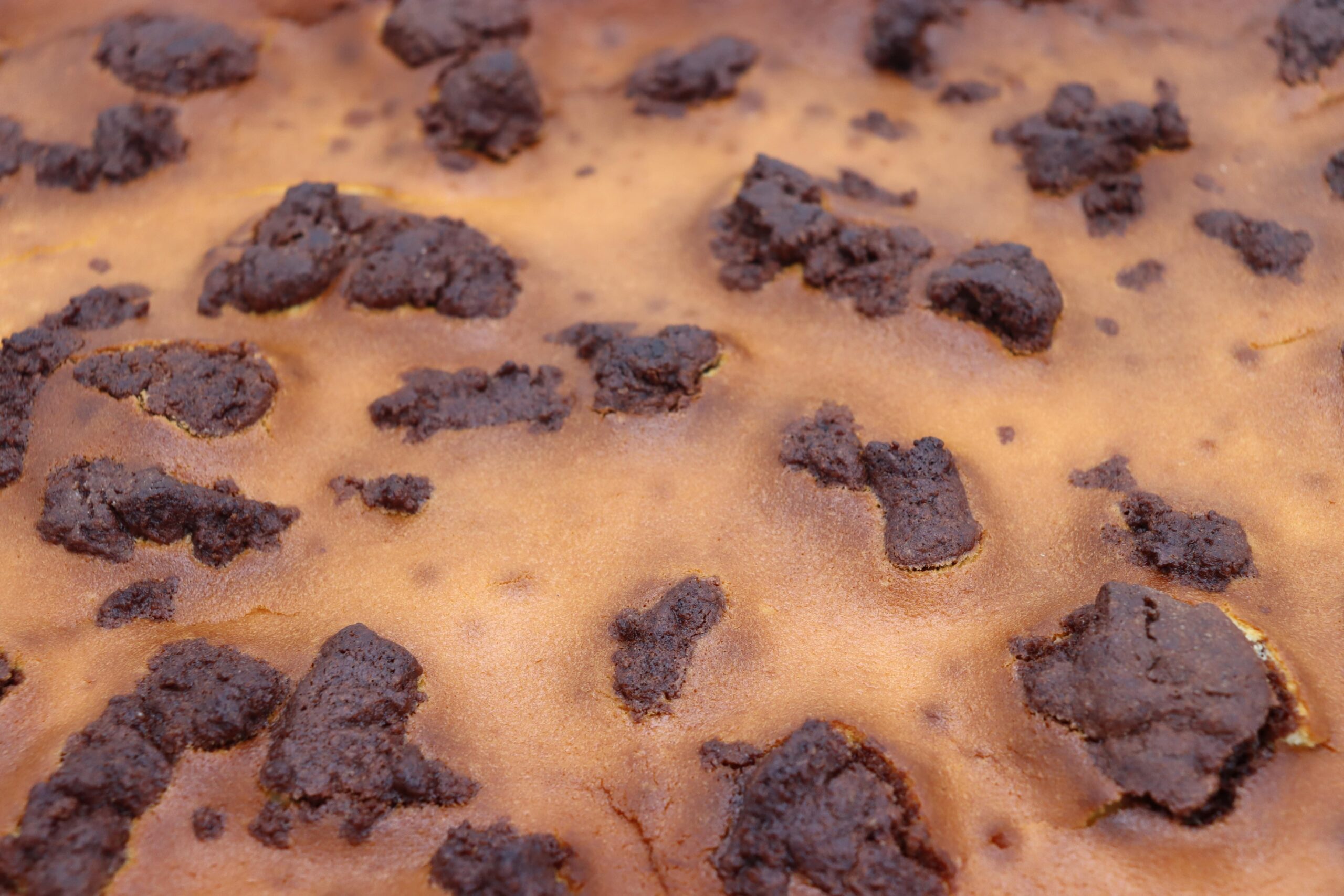 O Backstube – Handgemachte Blechkuchen für jeden Anlass – Bild 9